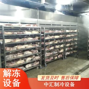 �������ܵ��¸�ʪ�ⶳ�� ��ţ�⻯���豸 ���⻺������е������