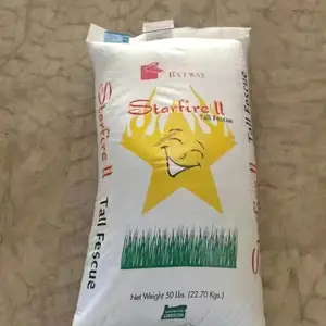 ����é������С�������ӱ��������Ѳ����ʹ�ɳ��