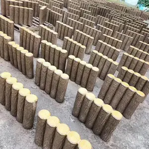 �����̻�Ժ��Χ������׮ 500*400��ľ��׮ʯ ������·��ʯ