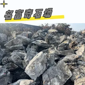广东佛山风景园艺石,假山造景英石,英石产地批发