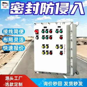 防爆照明配电箱 可编程控制柜 电路隔爆控制柜 隔爆型配电箱