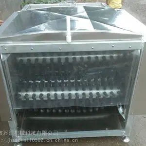 ��С�ͼ�����ë��