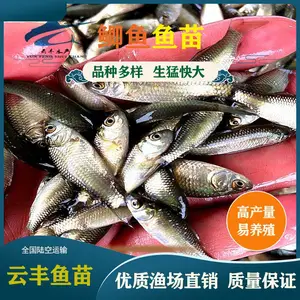���������� ������ˮ�� �Ʒ���ֳ��������Ӧ �п�����������