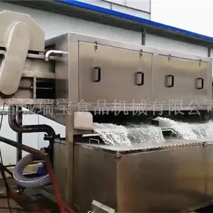 诸城瑞宝5000新型大姜清洗机 鲜姜高压喷淋清洗机