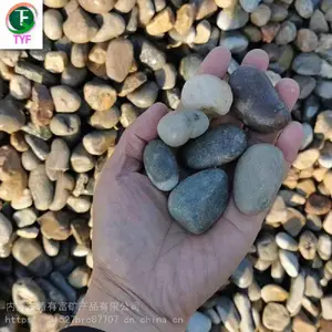 ��Ӧ����ʯ��ѹ������ʯ·��ʯ��·��·����ʯ��ˮ����