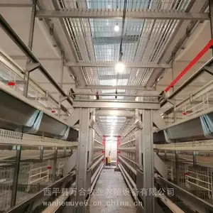 可出口镀锌层叠蛋鸡笼阶梯式鸡笼喂料机全自动清粪设备