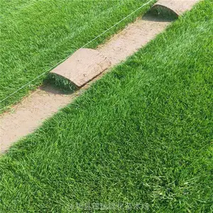 ���� �ļ����ƺ�ļ����� �����ֳ�ѡ�� ����������������