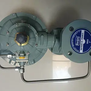 燃气调压阀 299H调压器 法国RAYGAS 铸铝材质