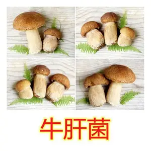 ޹�²���ȡ�� ˹ŵ�ؿɶ��� ����ˮ��Ũ�� ��ױƷ����ԭ��