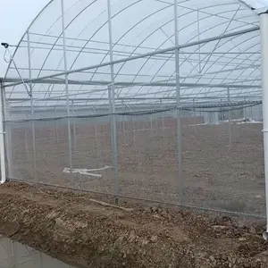 玻璃大棚 薄膜连栋大棚空间大坚固耐用 镀锌大棚钢管 连体大棚种植蔬菜育苗保温湿帘风机大棚管 大棚配件批发