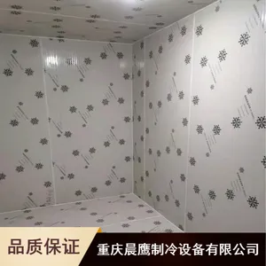 晨鹰大型仓储制冷节能冰鲜速冻蔬菜肉类冷冻库