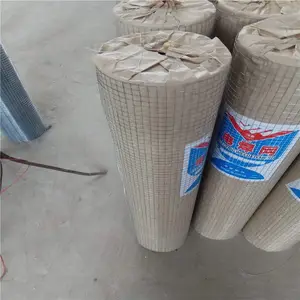 �ӱ��纸�� �İ�˿�纸�� ������˿��