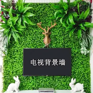 ����С�ȼ�������ֲ��ǽ��ֲǽ��װ��