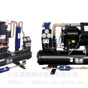 供应鼎胜水冷式氟利昂制冷机组 比泽尔制冷机组