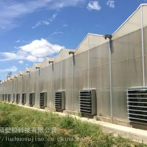 pc阳光板/花房专用/保温隔热