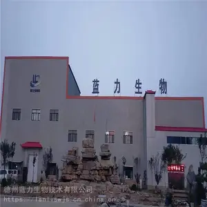 大豆肽粉原材料生产厂家 批发代理