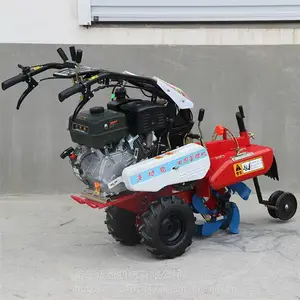 С��ũ�ù�԰���������� �������������� �ַ�ʽ�����ֲ����