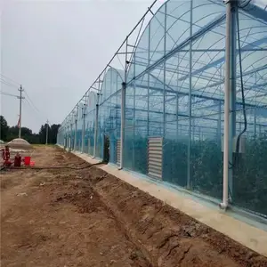 ���������������������ϱ�Ĥ�����߲�����������������������ﳧ��