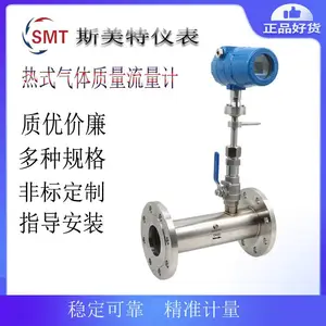 ˹���� HWRSL-80-G2C2B2��DN80��0-25Nm?/h��ʽ��������������