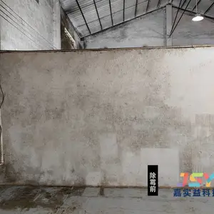 广州某厂房发霉墙面除霉 10分钟快速快复白墙