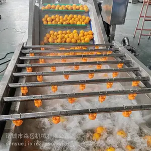 森岳果蔬清洗机SYQXJ-5000源头厂家气泡翻浪清洗设备