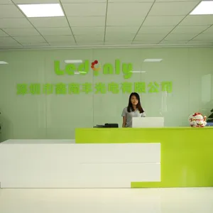 深圳市鑫南丰光电有限公司