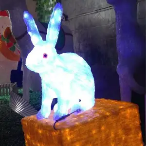 池州 装饰街道中国结 LED景观灯 厂家直销