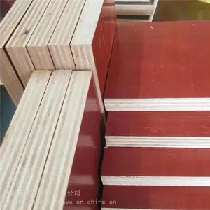 �Ĵ���ɽ����ģ8��С�������
