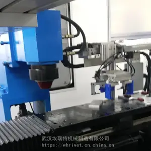 �����������í�ӻ���Ҷ��í�ӻ�����Ǯ����ӭ�ɹ�