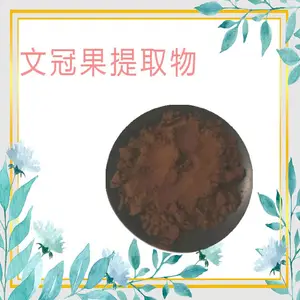 文冠果提取物10:1 文光果/文冠果浸膏粉 全水溶多种规格