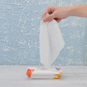 ����ʩӤ��ʪ��10�鱦�������Яʪֽ���Ӻ���������ϴ����