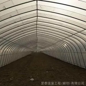 ����������������׹����߲���ֲ������̩���Ҳ���YTWSLP0237
