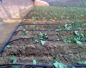 温室大棚灌溉用迷宫式滴灌带 一次整体热合成型农用滴灌带
