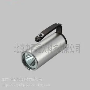 手提式探照灯-2*3W 型号:HYY-RWX7101库号:M319847
