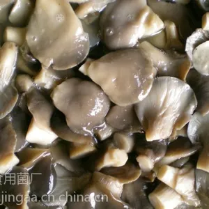 河北供应盐渍平菇,出口标准,常年供应