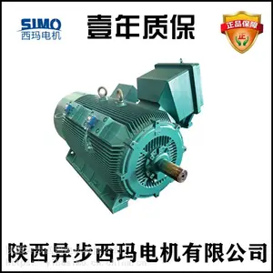 �������ͺ�YB2-5001-6/560KW��ѹ������ޣ������SKF��У�