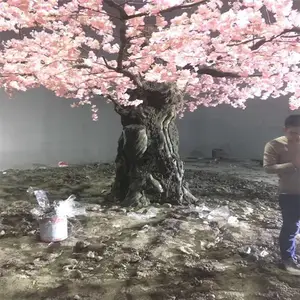 ����԰�� μ�� �ٻ��� �Ƶ������ ���һ�Դ