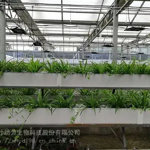 武汉叶动力 植物工厂 观光型植物工厂 植物培养室 项目方案设计 整体工程建设规划 技术指导实施