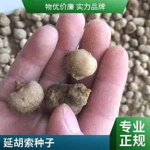 Ԫ������ ϲ��ůʪ������ �ͺ� �����׳ɻ� �巽����