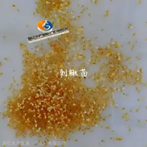 ��ͷ���۴���5-7cm�������� ӯ��ˮ��