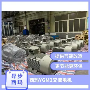 YGM2系列YGM-355M2-2 250KW 380V F级绝缘 B35 紧促型三相异步交流电机