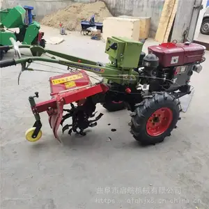 �����ַ���������¢�� 15���������� ����������