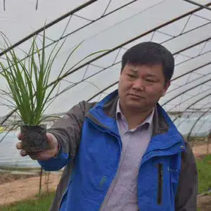 北京京兴润基园林绿化有限公司