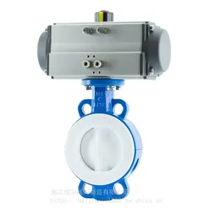 ��������ֳķ��������� ��������D641F4-16P DN200 �������ڵ���