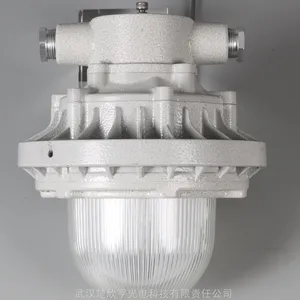 ɭ���׷�LED������LFB-100-10 100W LED AC220V IP66 EXd ��C