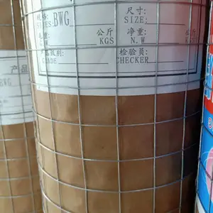 供应隆高热镀锌铁丝网 建筑抹墙网 内外墙保温网