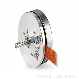 ��ʿ Maxon Motor 118592 ΢�͵�� Maxon Motor 118596