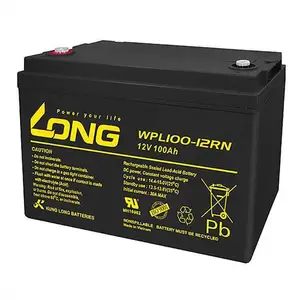 LONG广隆蓄电池WPL100-12RN 12V100AH 通信基站医疗机房UPS电源
