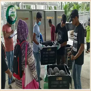 ������������ʽҺ���ٶ������� â��Һ���ٶ��豸�ۺ�����