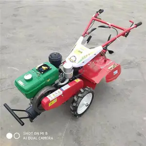 ���Ϳ�ũ����Ż�е �ʱ�С�Ϳ����� ҩ�ĵ����������